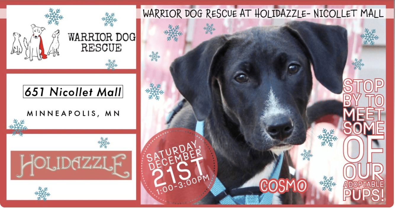 Adoption Event at Holidazzle! Warrior Dog Rescue